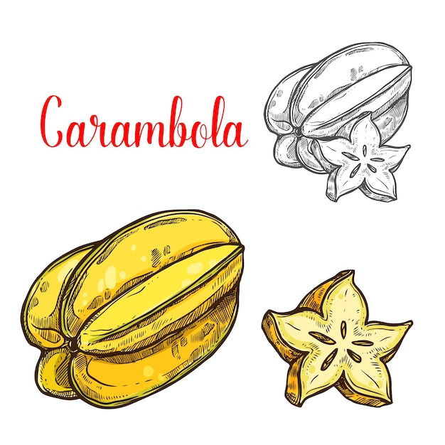 Bosquejo de carambola de carambola tropical