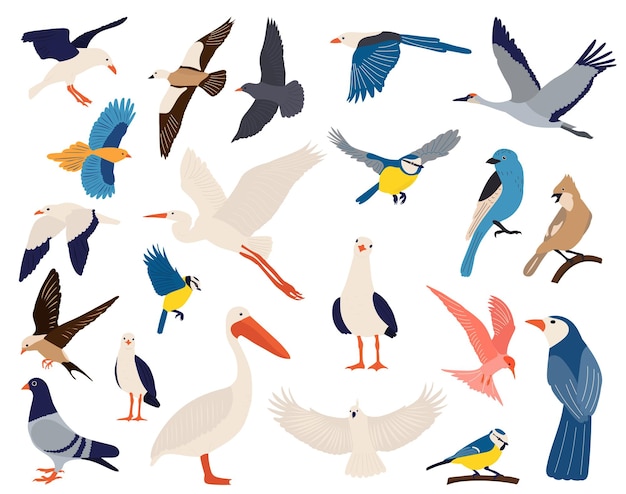 bosquejo de dibujo de línea continua de pájaro sobre vector de fondo blanco