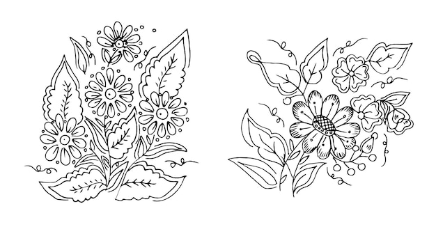 Bosquejo, flor, ilustración