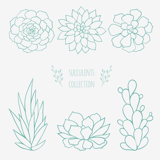 Bosquejo floral vectorial dibujado a mano suculentas y plantas de cactus