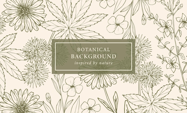 Bosquejo de fondo de plantas medicinales