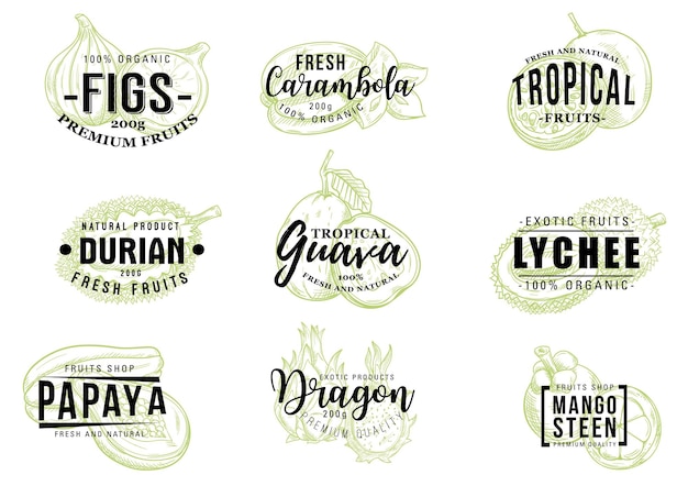 Bosquejo de frutas tropicales vector de letras