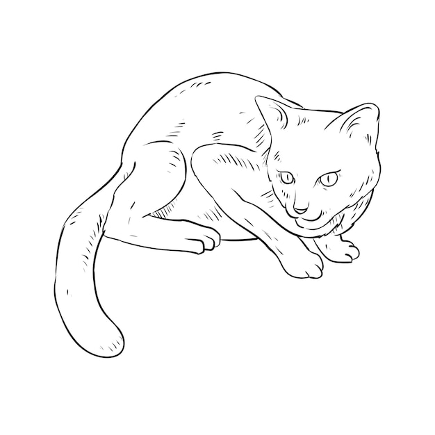 Vector bosquejo de gato en un estilo dibujado a mano