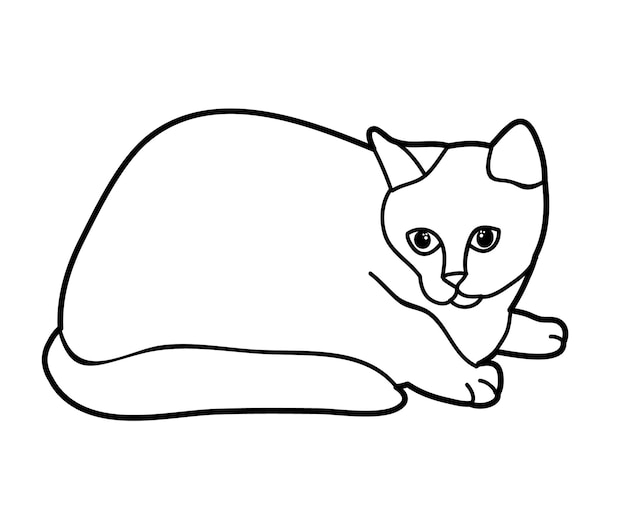 Bosquejo de gato sobre fondo blanco