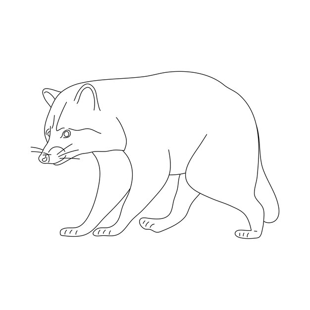 Bosquejo de mapache Ilustración de vector dibujado a mano