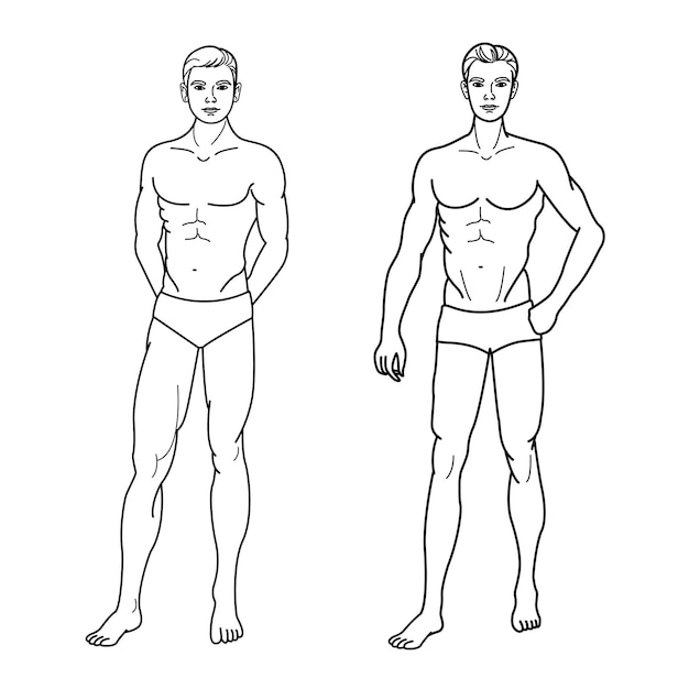 Bosquejo de modelos de hombres delgados