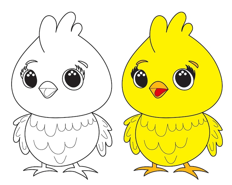 Vector bosquejo, de, novia y novio, aislado, vector