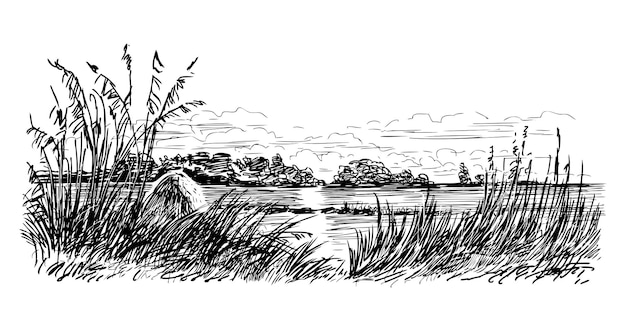 Bosquejo del paisaje ribereño de verano