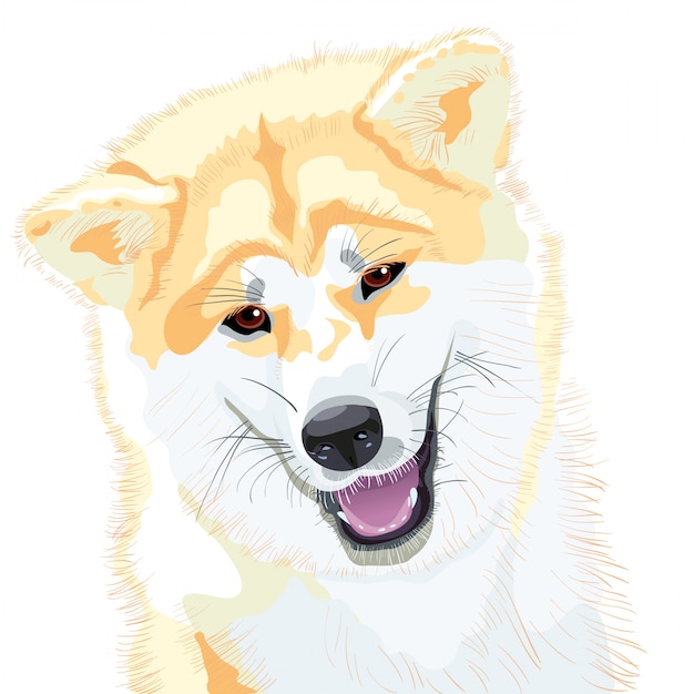 Vector bosquejo perro akita inu raza japonesa sonrisas