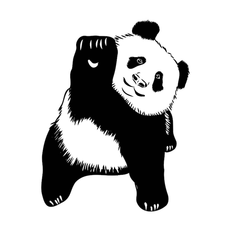 Vector bosquejo realista del vector de la figura de panda en la ilustración dibujada a mano de cuerpo entero