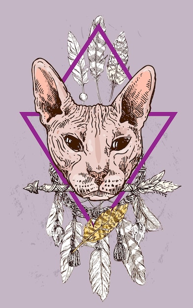 Vector bosquejo, retrato, de, gato calvo