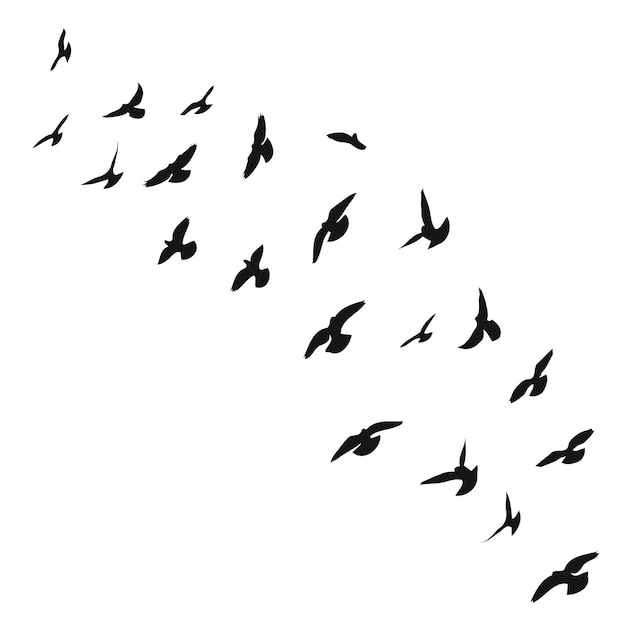 Bosquejo de silueta de una bandada de vuelo de pájaros voladores en diferentes posiciones Vuelo volador de despegue