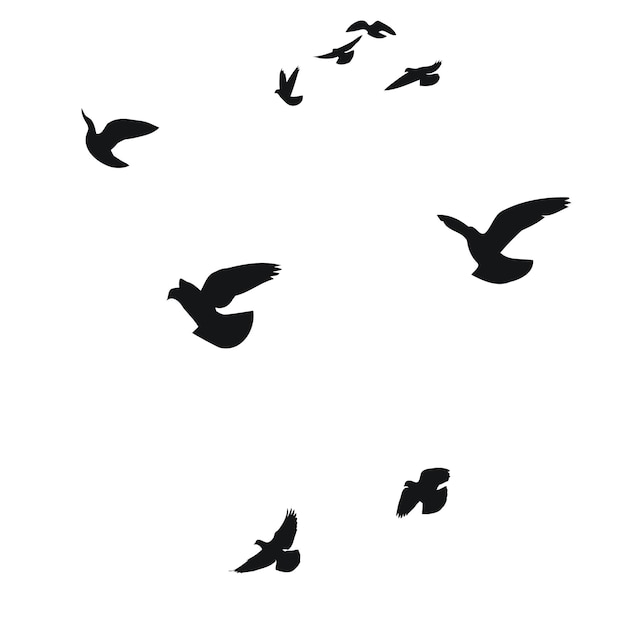 Bosquejo de silueta bandada de vuelo de pájaros voladores en diferentes posiciones