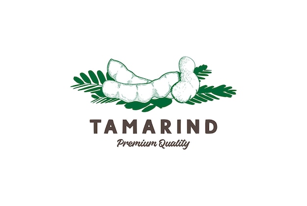 Bosquejo de tamarindo dibujado a mano vintage para diseño de logotipo de producto agrícola