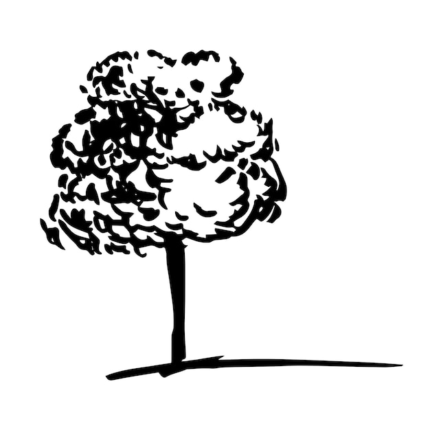 Bosquejo de tinta de árbol de nuez dibujado a mano ilustración de árbol de nuez de vector