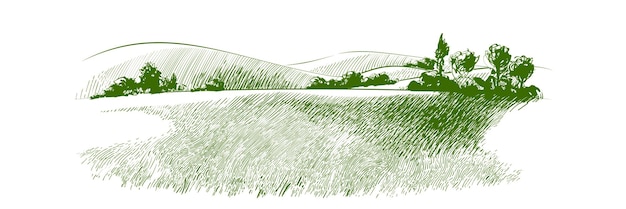 Bosquejo del vector campo de hierba verde en pequeñas colinas prado lejía alcalina pradera pomo lea pasto granja paisaje rural paisaje panorama de campo pastos ilustración