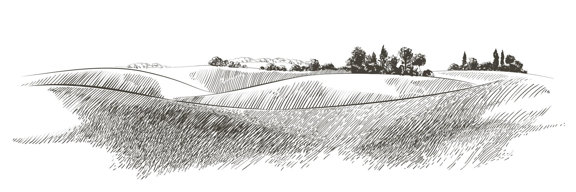 Grassland vector Sketch