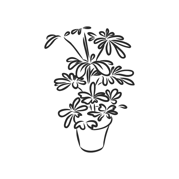 Bosquejo del vector de la planta de interior de las plantas de la maceta en un fondo blanco