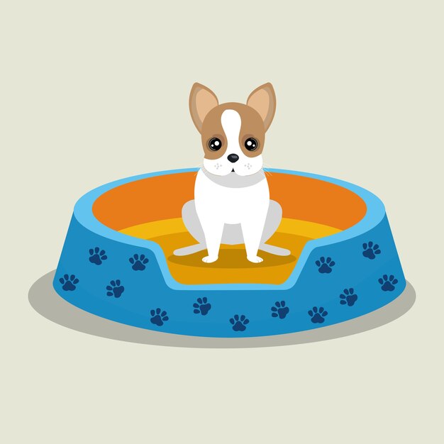 boston terrier cachorro cama azul mascota