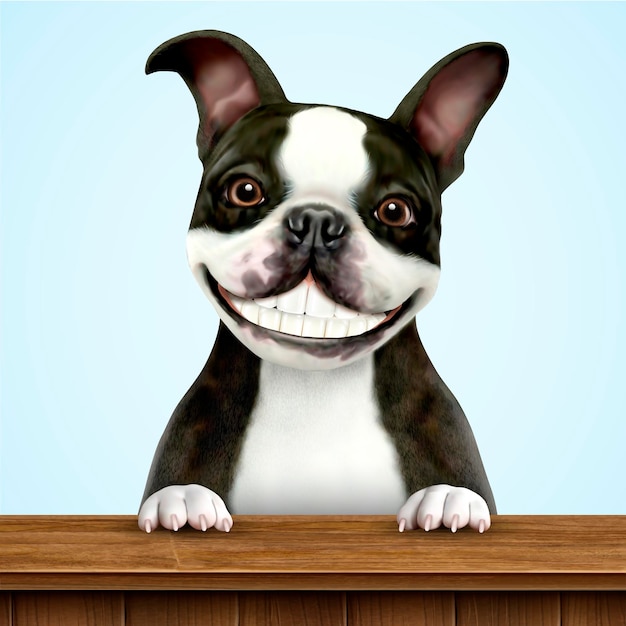 Boston terrier sonriente en blanco y negro de pie sobre la mesa de madera en la ilustración 3d