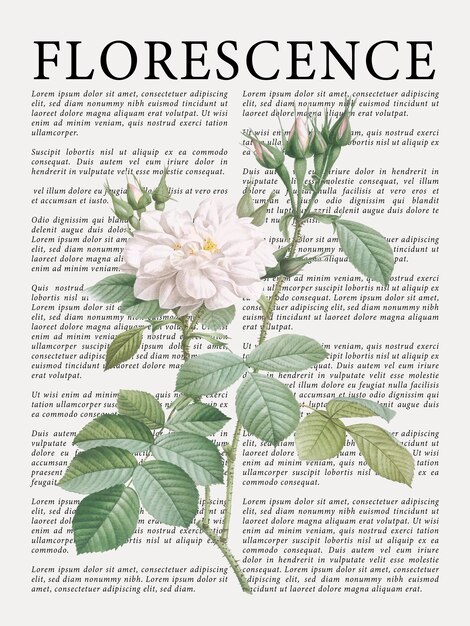 BOTÁNICAS y sus derivados