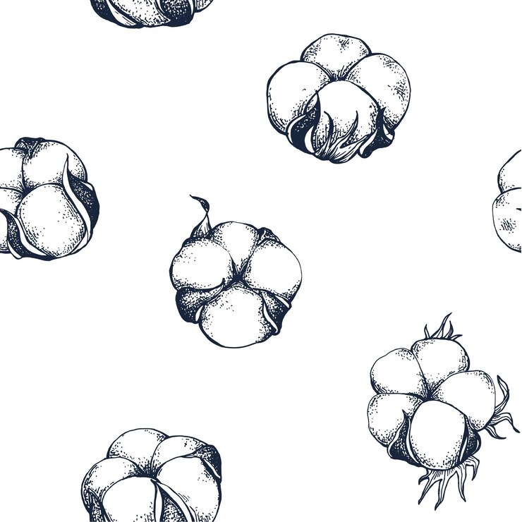 Vector botánico de algodón dibujado a mano con patrón sin costuras ilustración vectorial aislada esbozo de algodán grabado