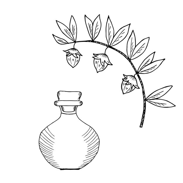 Botella de aceite de jojoba 2