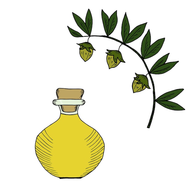 Botella de aceite de jojoba en color 2