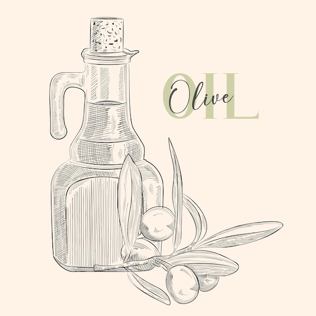 Botella de aceite de oliva y rama de oliva Vector Ilustración dibujada a mano Jar de vidrio Grabado vintage