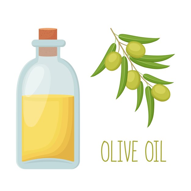 Botella de aceite de oliva y rama de olivo ilustración vectorial