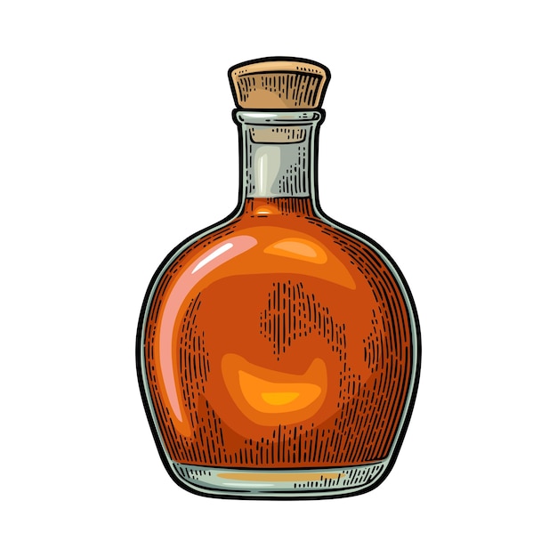 Vector botella, de, coñac, vendimia, grabado, ilustración