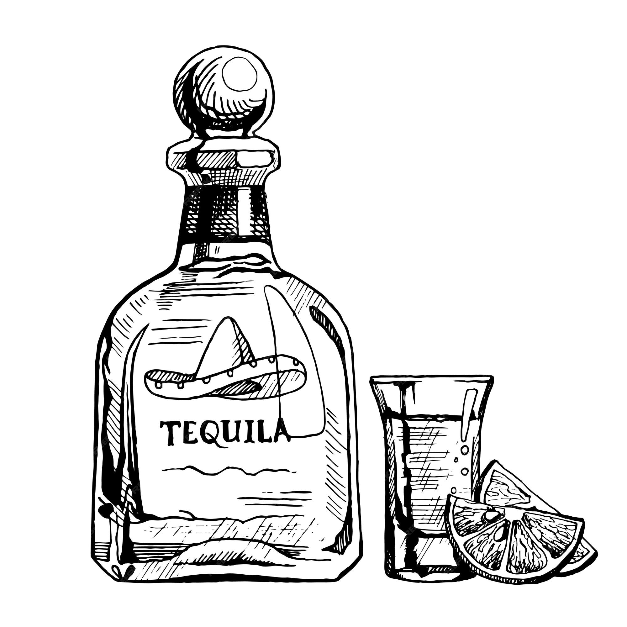 Detalle 46+ imagen dibujos de botellas de tequila