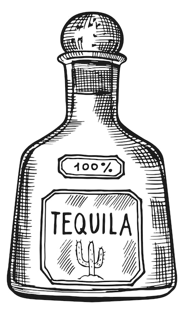 Botella de tequilla grabado boceto de bebida de alcohol mexicano
