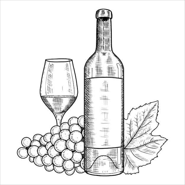 Botella de uvas de vidrio de vino dibujada a mano Ilustración vectorial