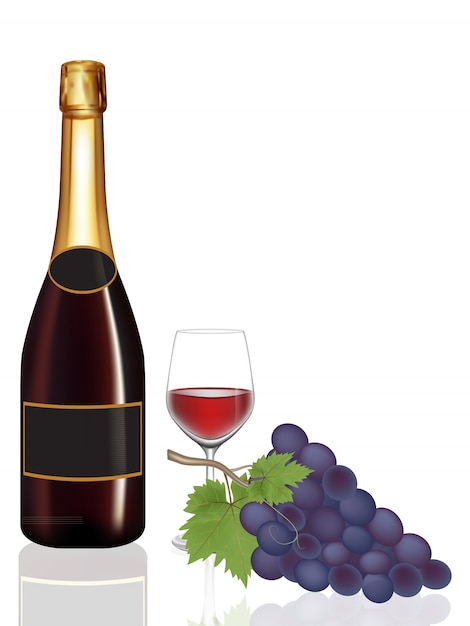 Botella de vino, copa de vino y uva, ilustración