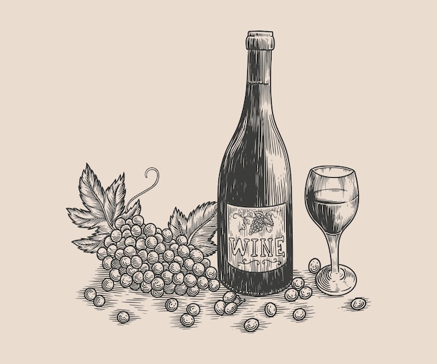 Botella de vino, copa de vino y uvas. Ilustraciones vectoriales de estilo grabado dibujadas a mano
