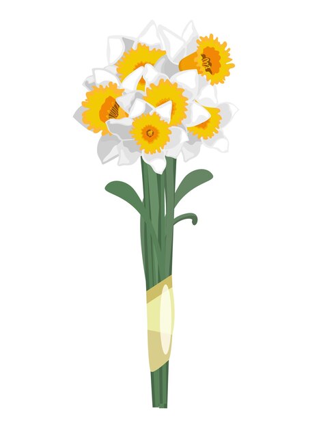 Bouqoet de flores de narciso blanco y amarillo, aislado sobre fondo blanco.