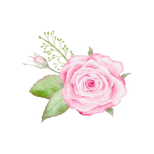 Bouquet de flores de una sola rosa de acuarela para el vector de tarjetas del día de San Valentín