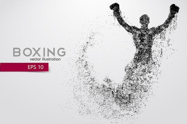 Boxeo, silueta de un boxeador