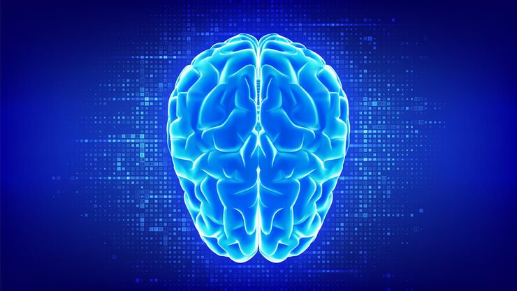 Vector brain futuristic digital brain concept of artificial intelligence machine learning data science innovation technology binary code background with digits 10 binary data vector illustration