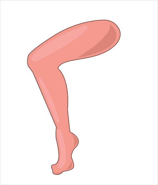 Brazo pierna lengua boca nariz mano partes del cuerpo humano ilustración vectorial
