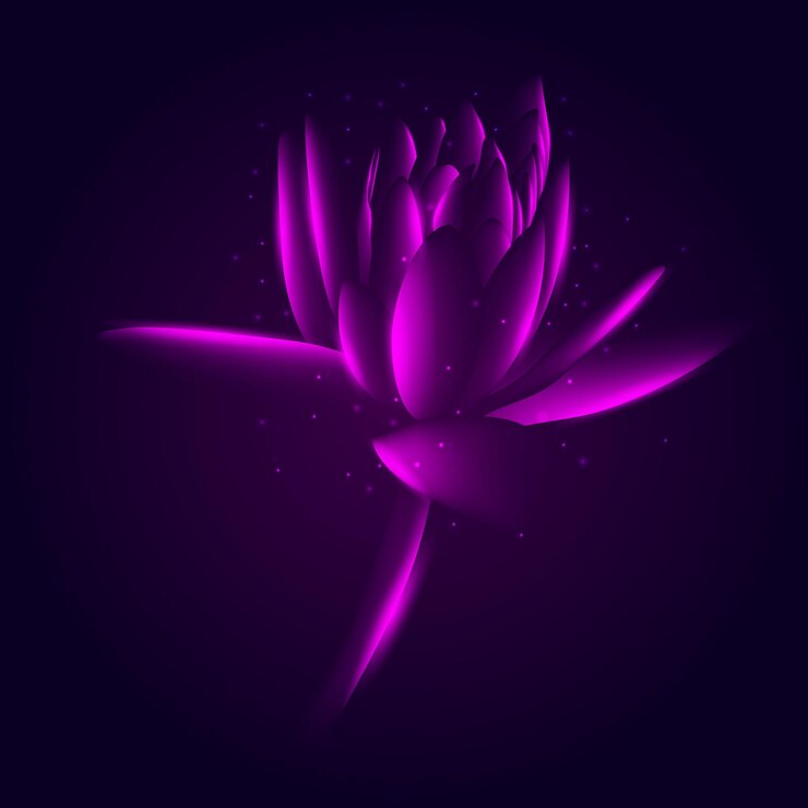 La brillante flor de loto luminosa en tonos púrpuras