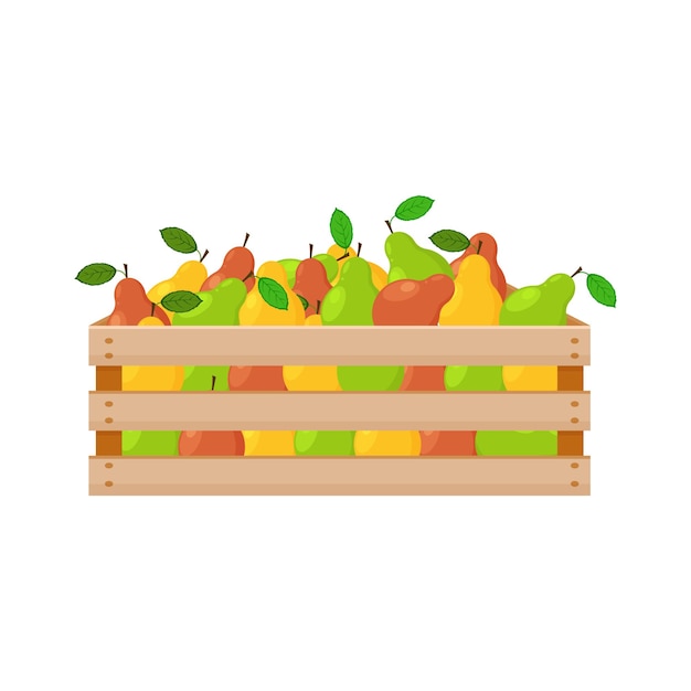 Una brillante ilustración de verano que representa una caja de madera con peras maduras de colores verde rojo y amarillo La cosecha cosechada de peras jugosas en una caja de madera Ilustración vectorial