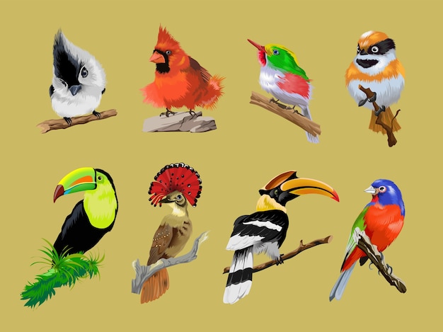 Con brillantes aves tropicales raras. Tucán, cálao, devorador de moscas coronado, pájaro brillante tropical multicolor. Colección corofull pájaros lindos emplazamiento en la rama. Aislado.