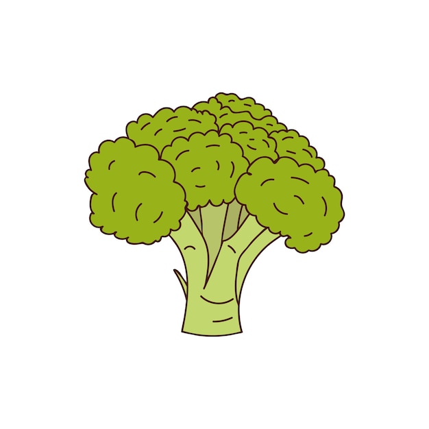 Brócoli colorido doodle ilustración en vector