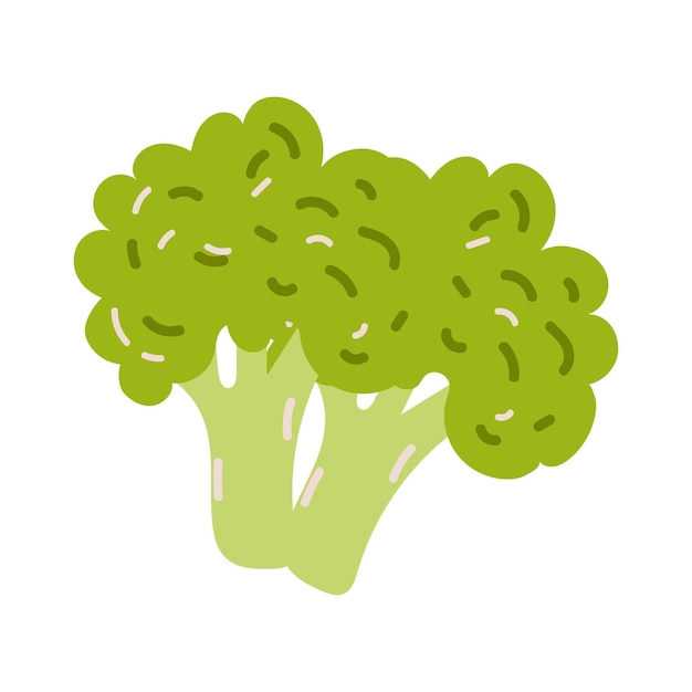 Brócoli para un estilo de vida saludable