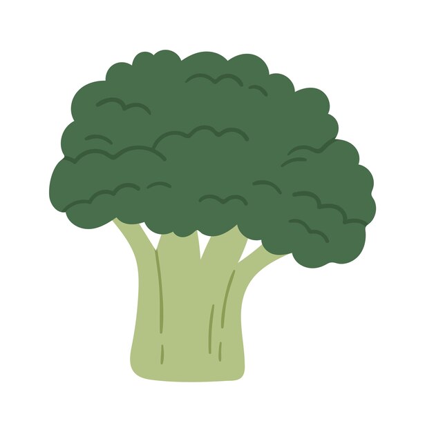 brócoli vegetal icono vector ilustración