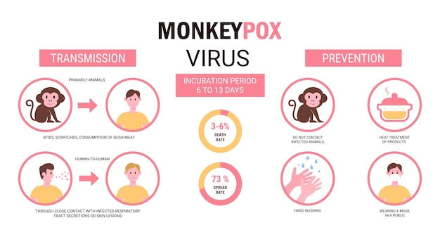 Brote de viruela del mono infografía de transmisión de virus y prevención ilustración vectorial