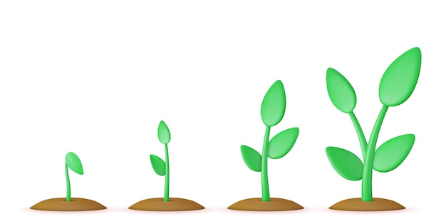 Brotes 3d Fases crecimiento de plantas