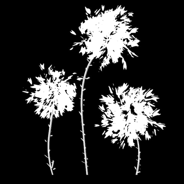 Brotes de exuberantes flores esponjosas ramas de dientes de león aislado fondo vector negro